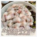 완도회타운 | 월미도 횟집 인천국립해양박물관 근처 맛집 호남완도마구잡이