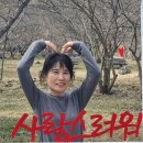 20260314 제195차 경기이천 원적산둘레길, 백사 산수유 둘레길(리딩 짱돌님) 이미지