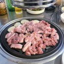 꿀꿀뒷고기 - 수영구 민락로 11-3 | 꿀꿀뒷고기