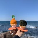 휴즐리 | 제주도 디저트 맛집 젤라또가 맛있는 휴즐리 제주 솔직 후기