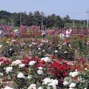 동산연합의원 이미지