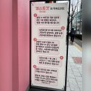 부산고양이분양 퍼스트캣 부산점 이미지