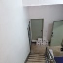 파토리아누오바 이미지