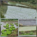 해원농장 이미지