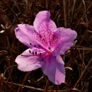 우암동 도시숲 이미지