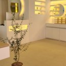 센스안경원 이미지