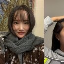 헤이지니 이미지