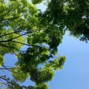 주식회사 쾌청