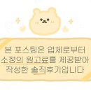 별이애견 | 제주 애견유치원 추천 호야별 애견유치원 후기