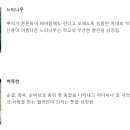 한국교원대학교부설월곡초등학교 이미지