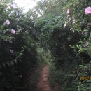 안동여자중학교 이미지