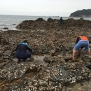 갯벌소리 이미지