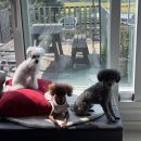 강화도 해뜨는집 이미지