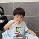 시선부천신 | 부천 참치 맛집 신중동 나고야참치 로얄등급 18개월 아기랑 다녀온 찐단골 솔직후기