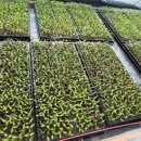 태동농장 이미지