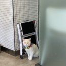 하정 동물병원 이미지