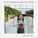 새참하우스 | 파주딸기드림팜 : 모래놀이 키즈카페가 있는 경기도딸기체험 주차