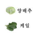 바른정한의원 이미지