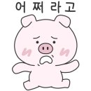 오이랜드 이미지