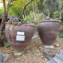 창암농장 2농장 이미지