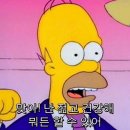 성균관대학교 문화융합대학원 | [척척석사] 미디어 특수대학원 25년도 전기 합격 후기 1: 대학원?