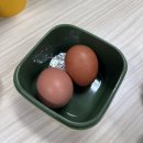 주짱 | 새해 2주 차 루틴 가득한 일주일 기록