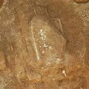 수촌리 고분군 이미지