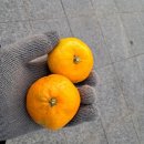 조례동아아파트경로당 | 인천 만수산 일출 해돋이 명소 등산코스 무장애나눔길 정상 전망대