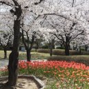 서면시장 이미지