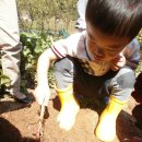 한벌농장 이미지