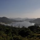 막은댐 티스토리