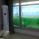 정상 네이처빌 이미지