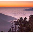 축복 이미지