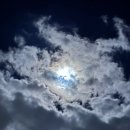 제주올레국수 이미지