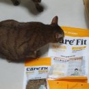 (주)케어핏 이미지