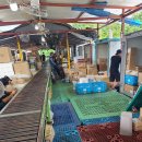 제일물류 이미지