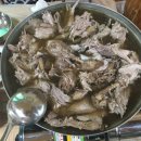 천둥옻오리 이미지