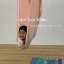 사하라동물병원 이미지