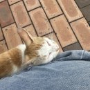 효자우리약국 이미지