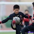 진도공설운동장 이미지