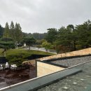 첨성대동물병원 | 경주 바니베어뮤지엄, 비오는날 실내 데이트.