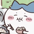 명가제주갈치 이미지