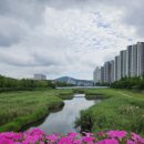 2026.6.4 람사르생태공원길 이미지