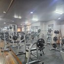 목간통헬스 이미지