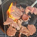 선재도 애견동반 펜션 루나비치선재 후기