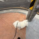 돈의비밀 - 04. 돈과 시간, 분산과 집중 | 2월 보고서 (+ 근황)