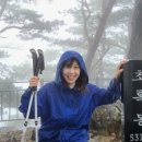 대숲민박 이미지