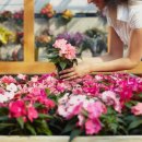 안채영한의원 이미지