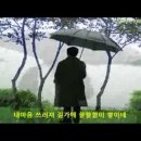 비와외로움-바람꽃 이미지