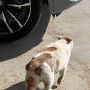 대명다방 이미지